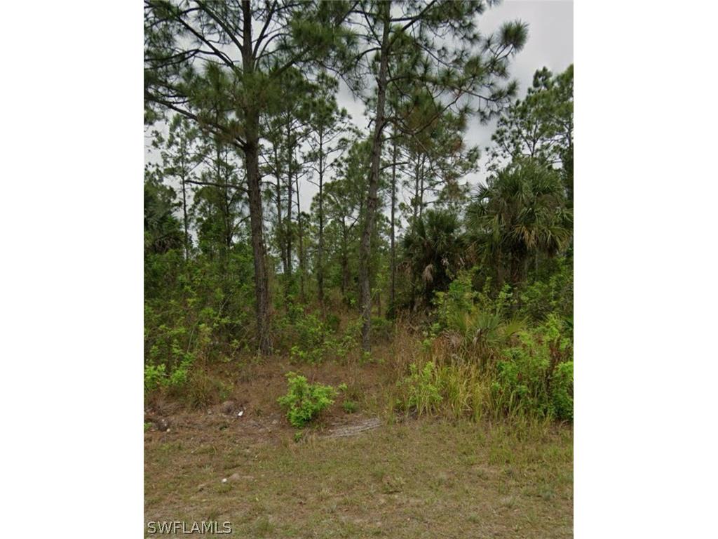 917 Mckinley Avenue Lehigh Acres FL 33972 224057463 image1
