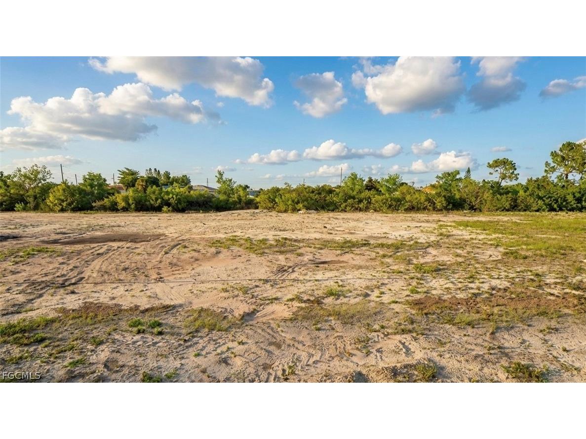 917 NE 11th Terrace Cape Coral FL 33909 2026007477 image3