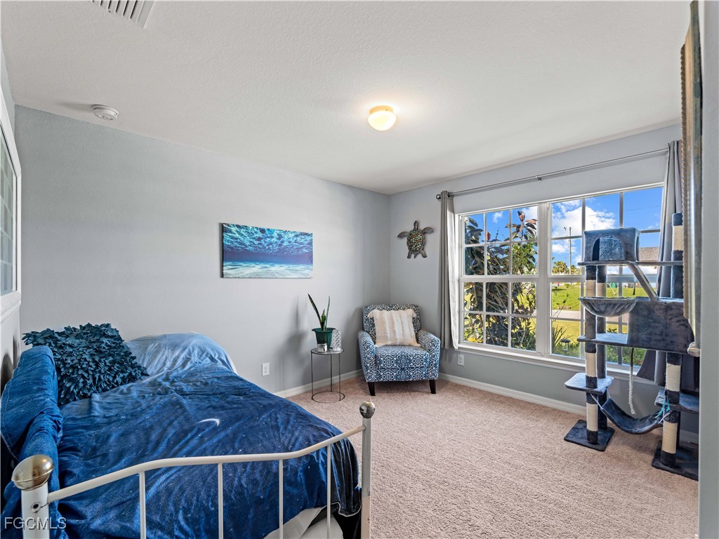917 NW 13th Avenue Cape Coral FL 33993 2026004720 image25