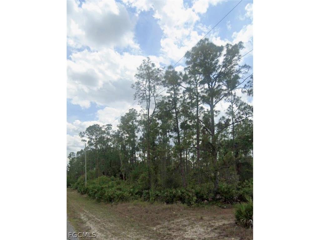 917 Wellington Avenue Lehigh Acres FL 33972 2026008167 image1