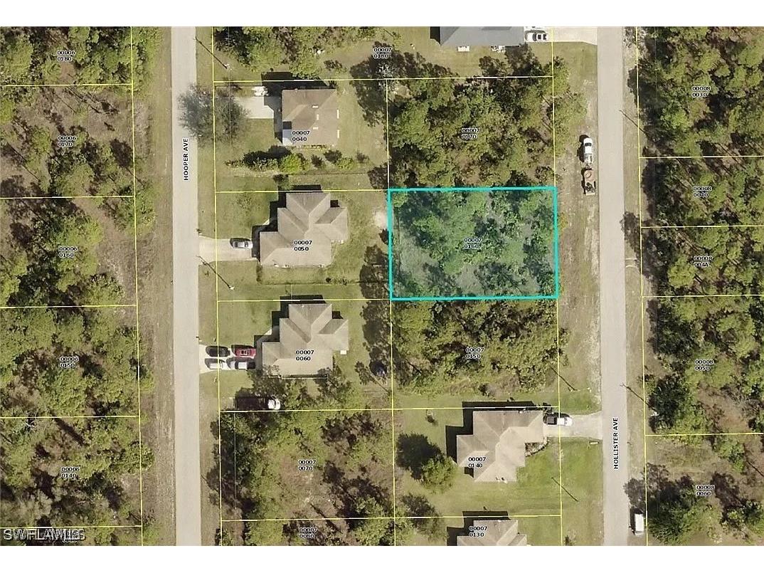 918 Hollister Avenue Lehigh Acres FL 33974 223062945 image1