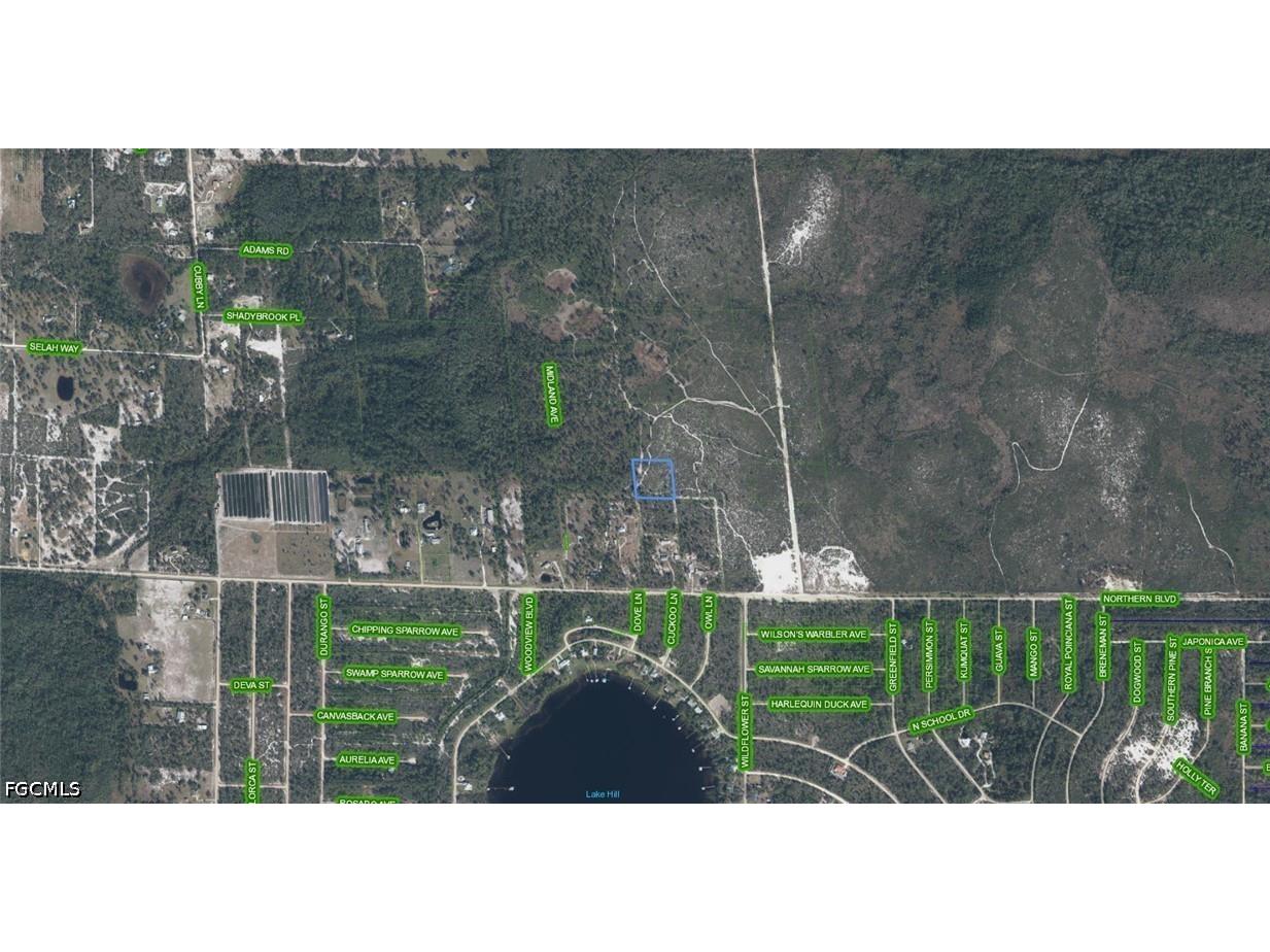 918 Midland Avenue Lake Placid FL 33852 2026023897 image2