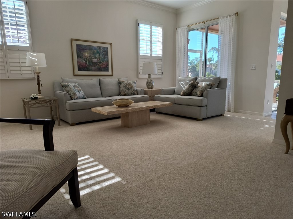 9181 Las Maderas Drive Bonita Springs FL 34135 226024796 image15