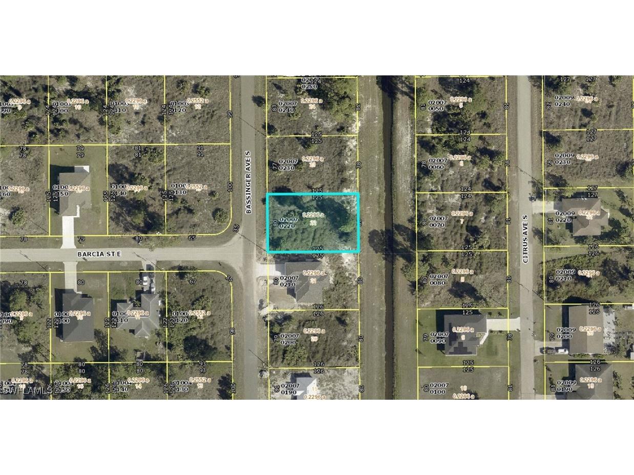 919 Bassinger Avenue S Lehigh Acres FL 33974 225053675 image2