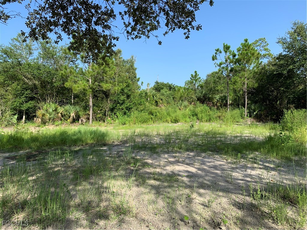 919 Glenn Avenue Lehigh Acres FL 33972 225045562 image10