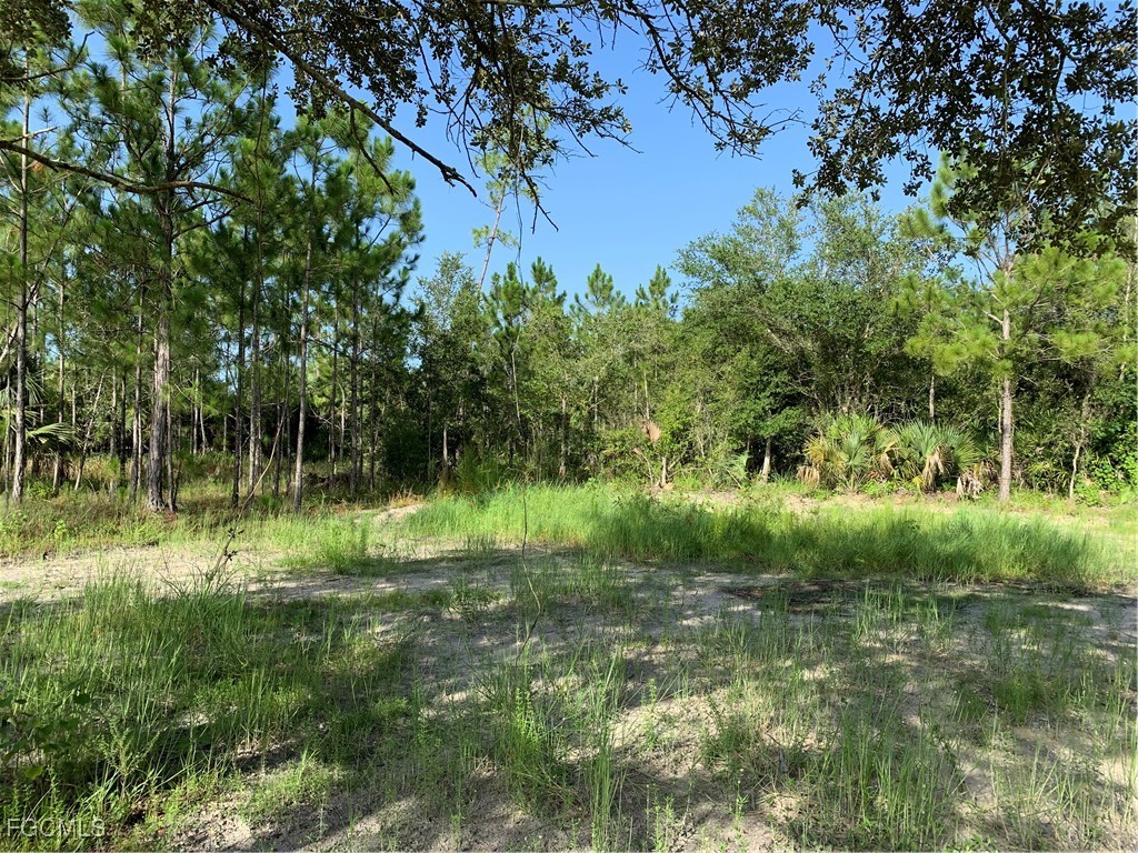 919 Glenn Avenue Lehigh Acres FL 33972 225045562 image11