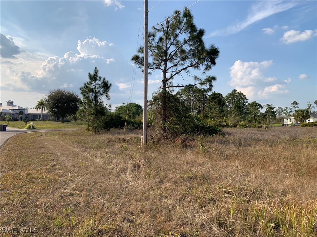 919 Grafton Street Lehigh Acres FL 33974 225017135 image1