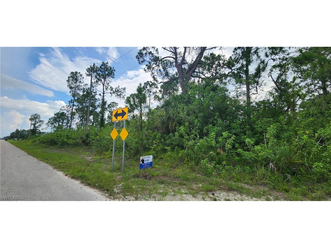 919 Hines Avenue Lehigh Acres FL 33972 223049481 image1