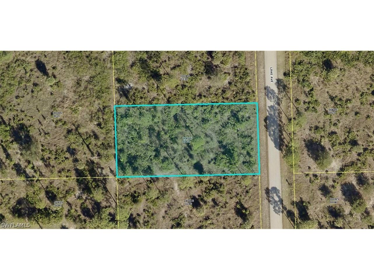 919 Lake Avenue Lehigh Acres FL 33972 221050961 image1