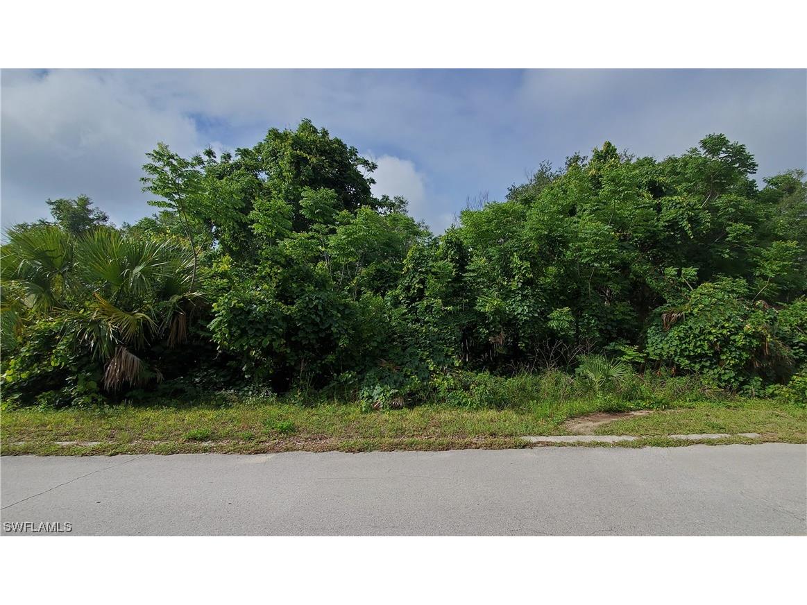 919 Spruce Street Inverness FL 34452 223041891 image1