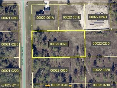 920 Acacia Avenue Lehigh Acres FL 33972 223045748 image1