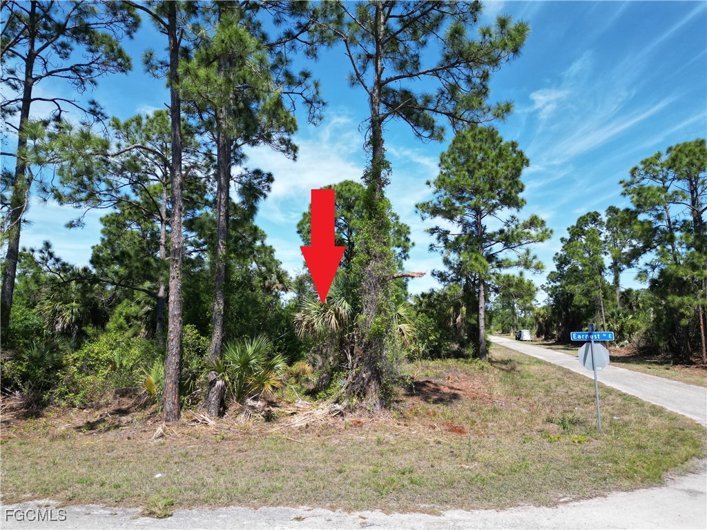920 Mayfield Avenue S Lehigh Acres FL 33974 2025024998 image1