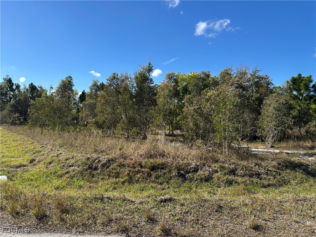 920 Panda Drive Lehigh Acres FL 33974 2026001273 image1