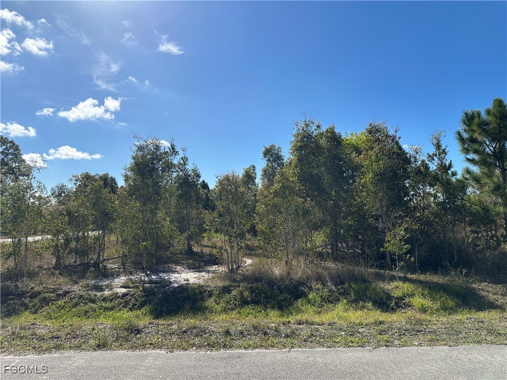 920 Panda Drive Lehigh Acres FL 33974 2026001273 image2