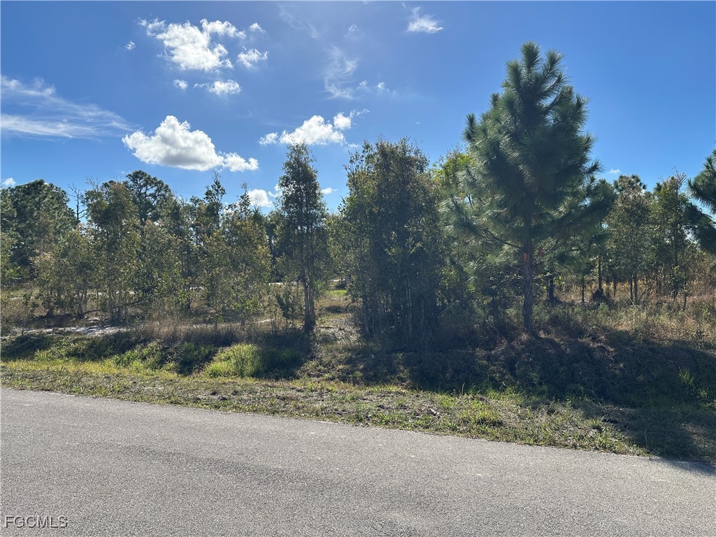 920 Panda Drive Lehigh Acres FL 33974 2026001273 image3