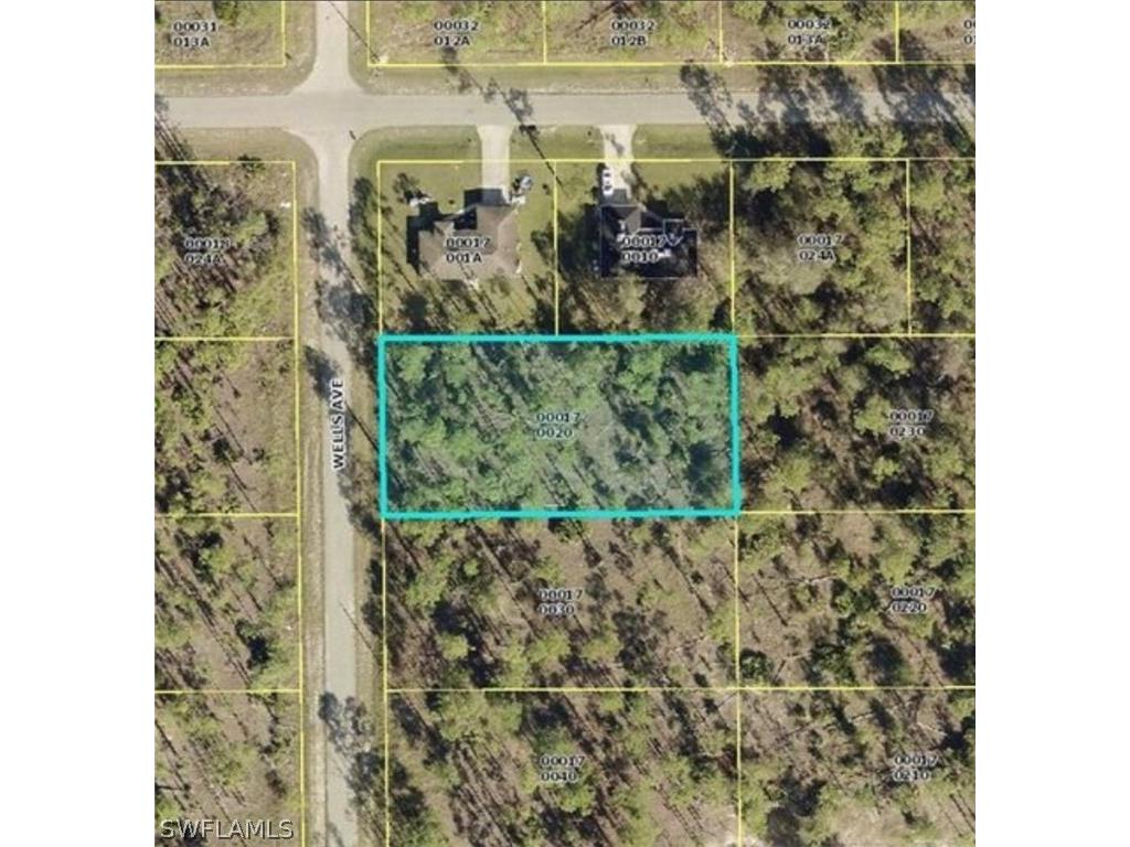 920 Wells Avenue NE Lehigh Acres FL 33972 222087294 image1