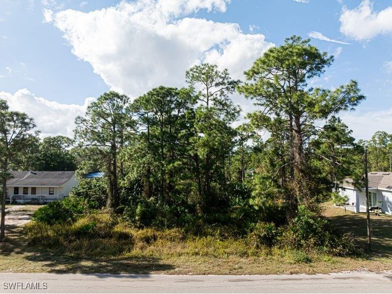 921 Moore Avenue Lehigh Acres FL 33972 225084551 image8