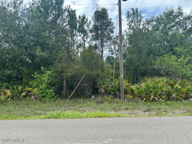 921 Robert Avenue Lehigh Acres FL 33936 225057980 image1