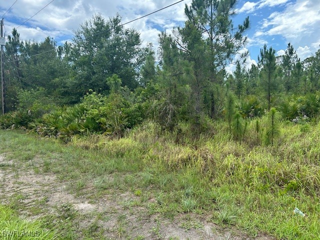 921 Robert Avenue Lehigh Acres FL 33936 225057980 image2