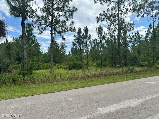 921 Robert Avenue Lehigh Acres FL 33936 225057980 image3