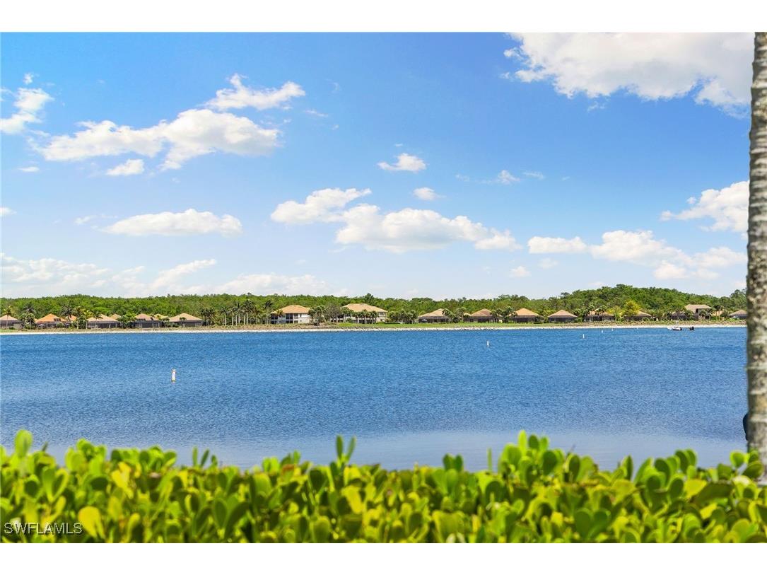 9214 Marble Stone Drive Naples FL 34120 225071043 image47