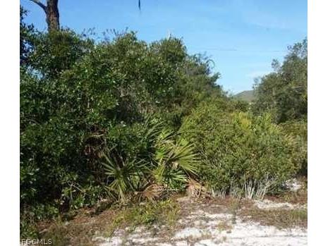 922 Aster Street Lake Placid FL 33852 2026009315 image2