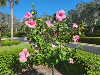 922 Turtle Court Naples FL 34108 225056846 image29