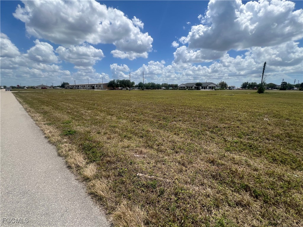 924 NE 8th Terrace Cape Coral FL 33909 224003028 image4