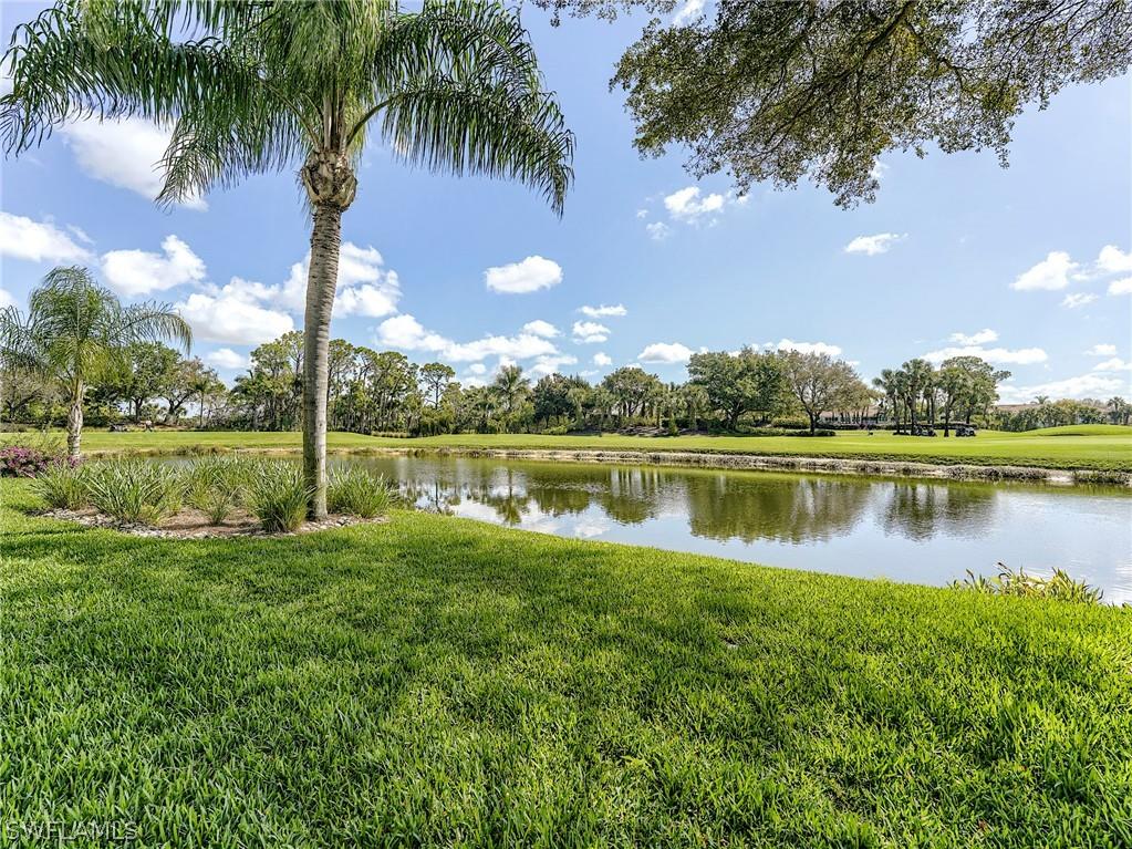 9241 Spring Run Boulevard #2206 Estero FL 34135 226011134 image12