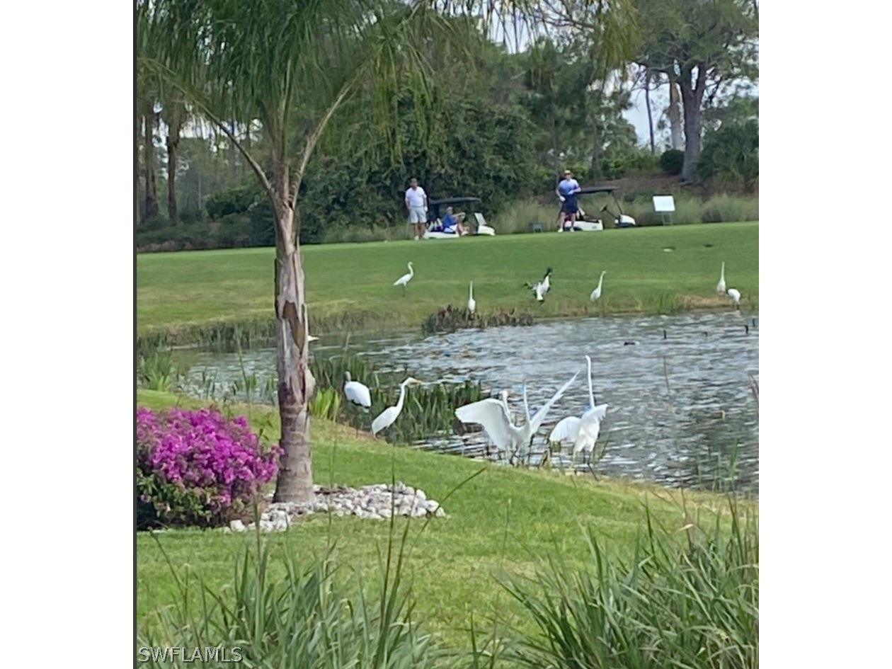 9241 Spring Run Boulevard #2206 Estero FL 34135 226011134 image14