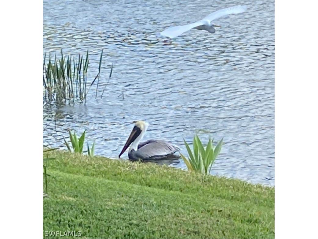 9241 Spring Run Boulevard #2206 Estero FL 34135 226011134 image15