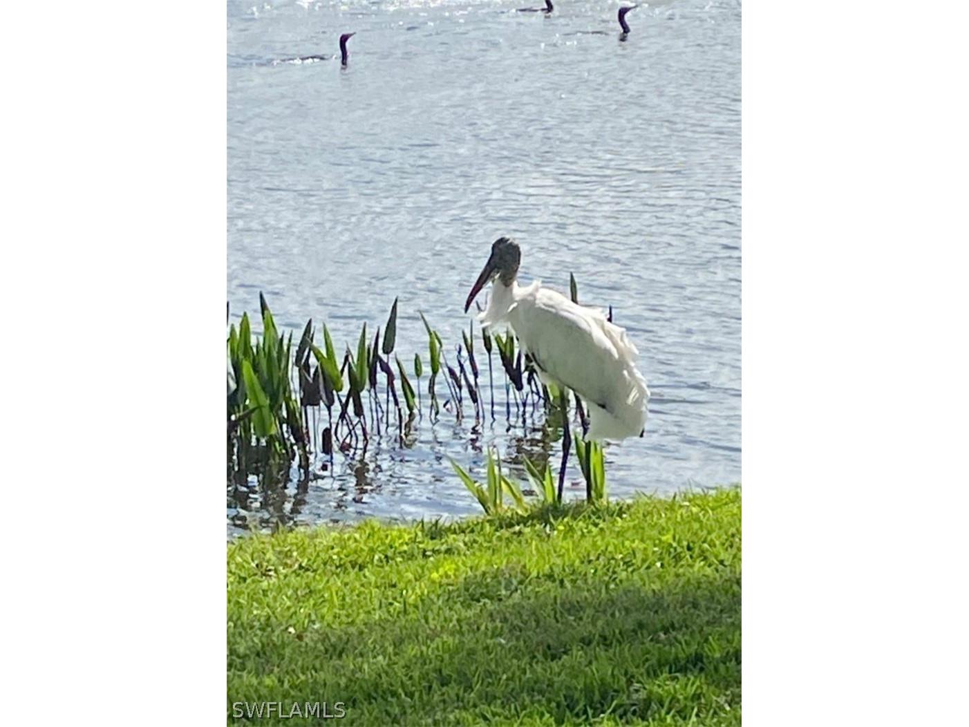9241 Spring Run Boulevard #2206 Estero FL 34135 226011134 image17