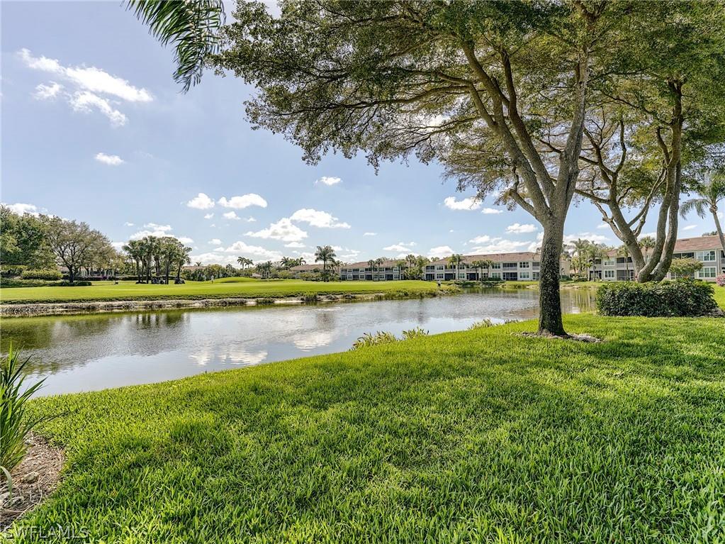 9241 Spring Run Boulevard #2206 Estero FL 34135 226011134 image18