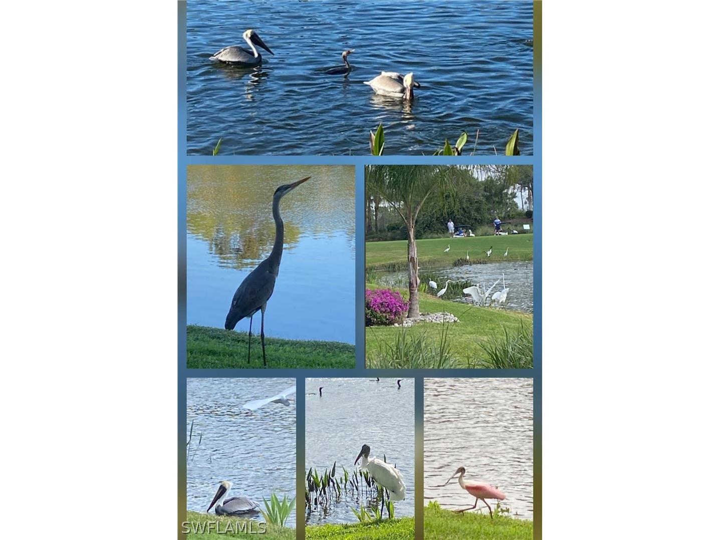 9241 Spring Run Boulevard #2206 Estero FL 34135 226011134 image35