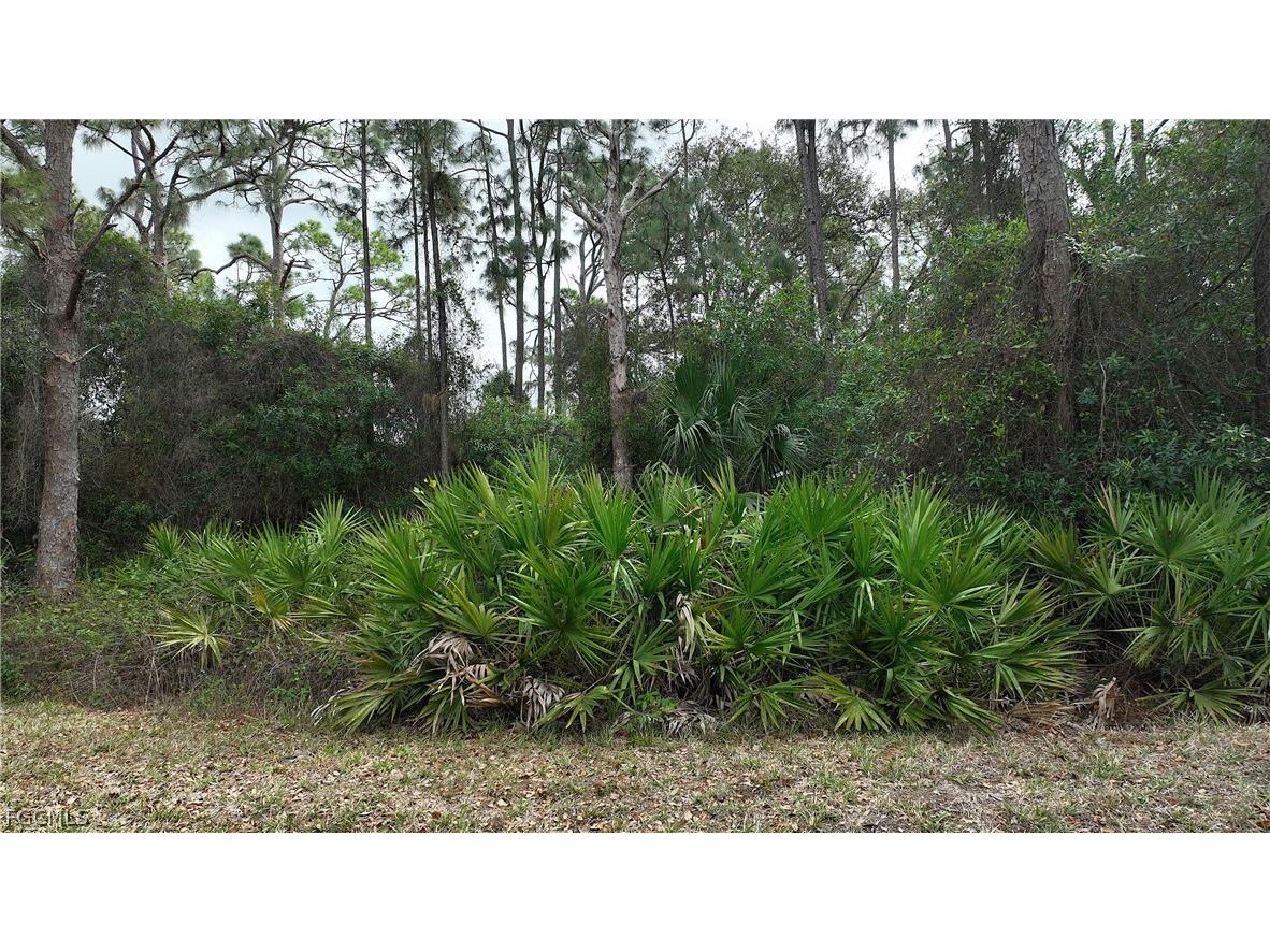 9245 Aegean Circle Lehigh Acres FL 33936 2026010422 image34