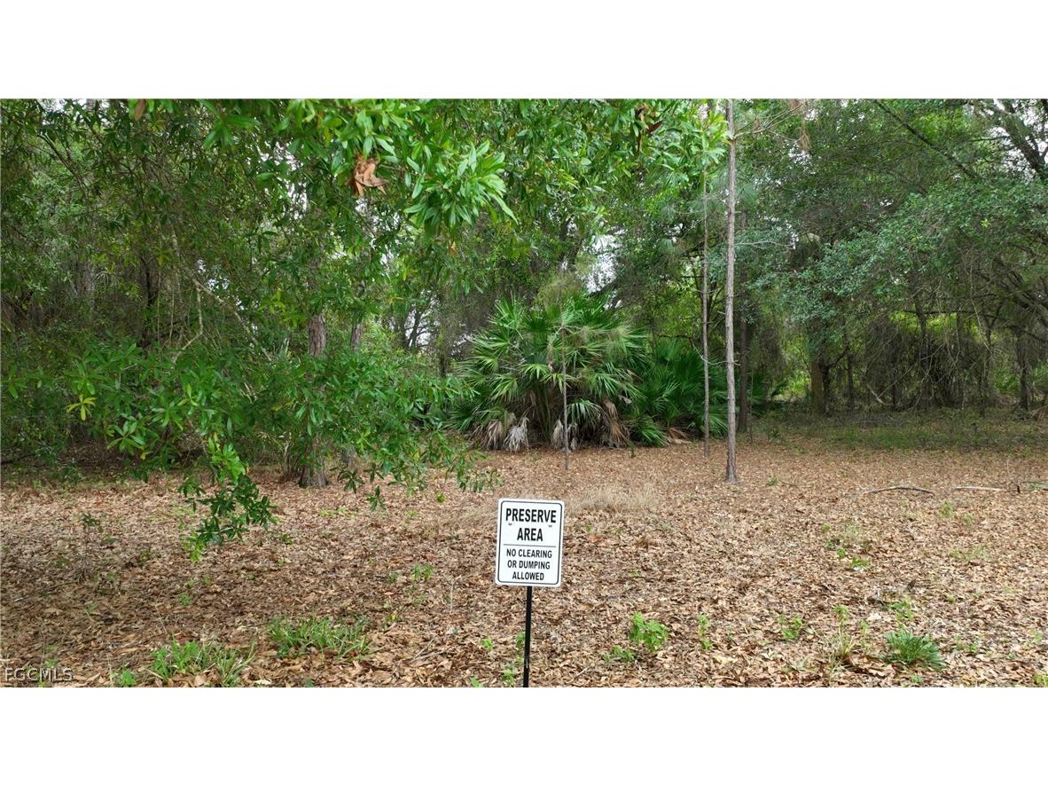 9245 Aegean Circle Lehigh Acres FL 33936 2026010422 image36