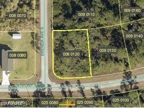 925 Anthony Street E Lehigh Acres FL 33974 226003868 image1