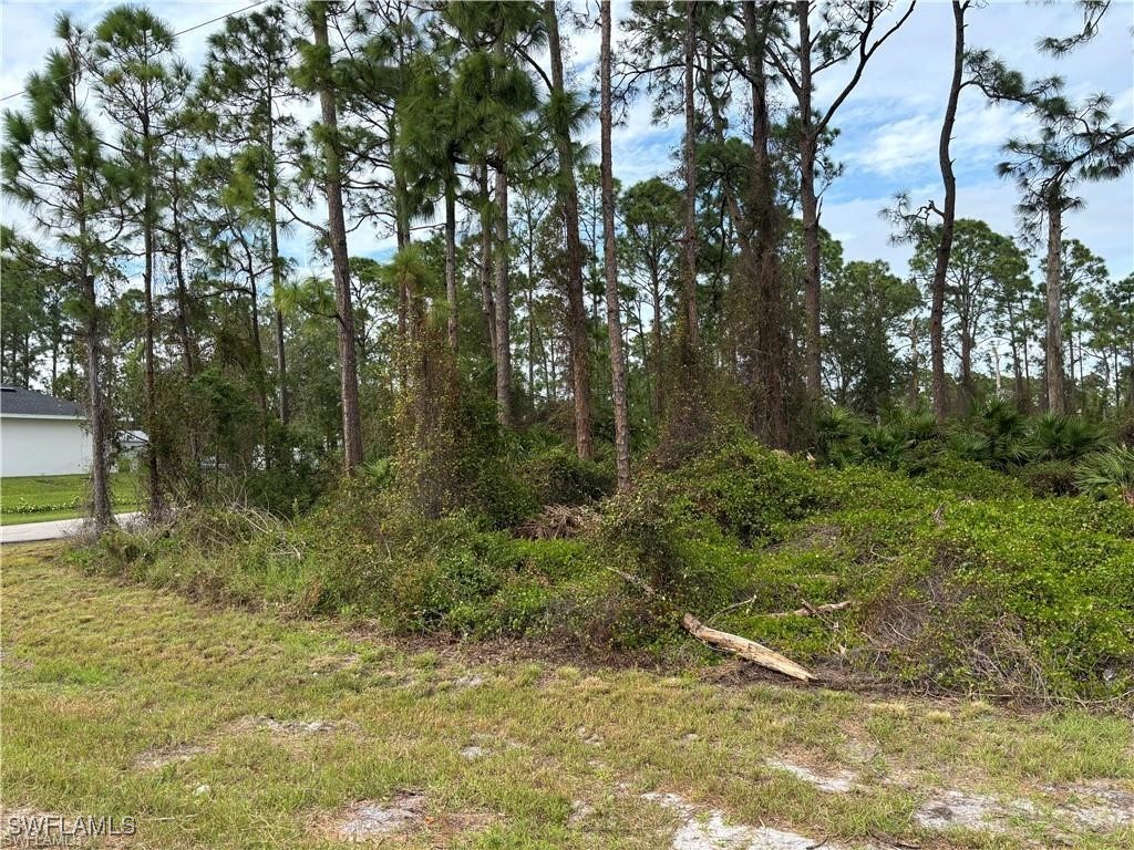 925 Barton Street E Lehigh Acres FL 33974 225070134 image3