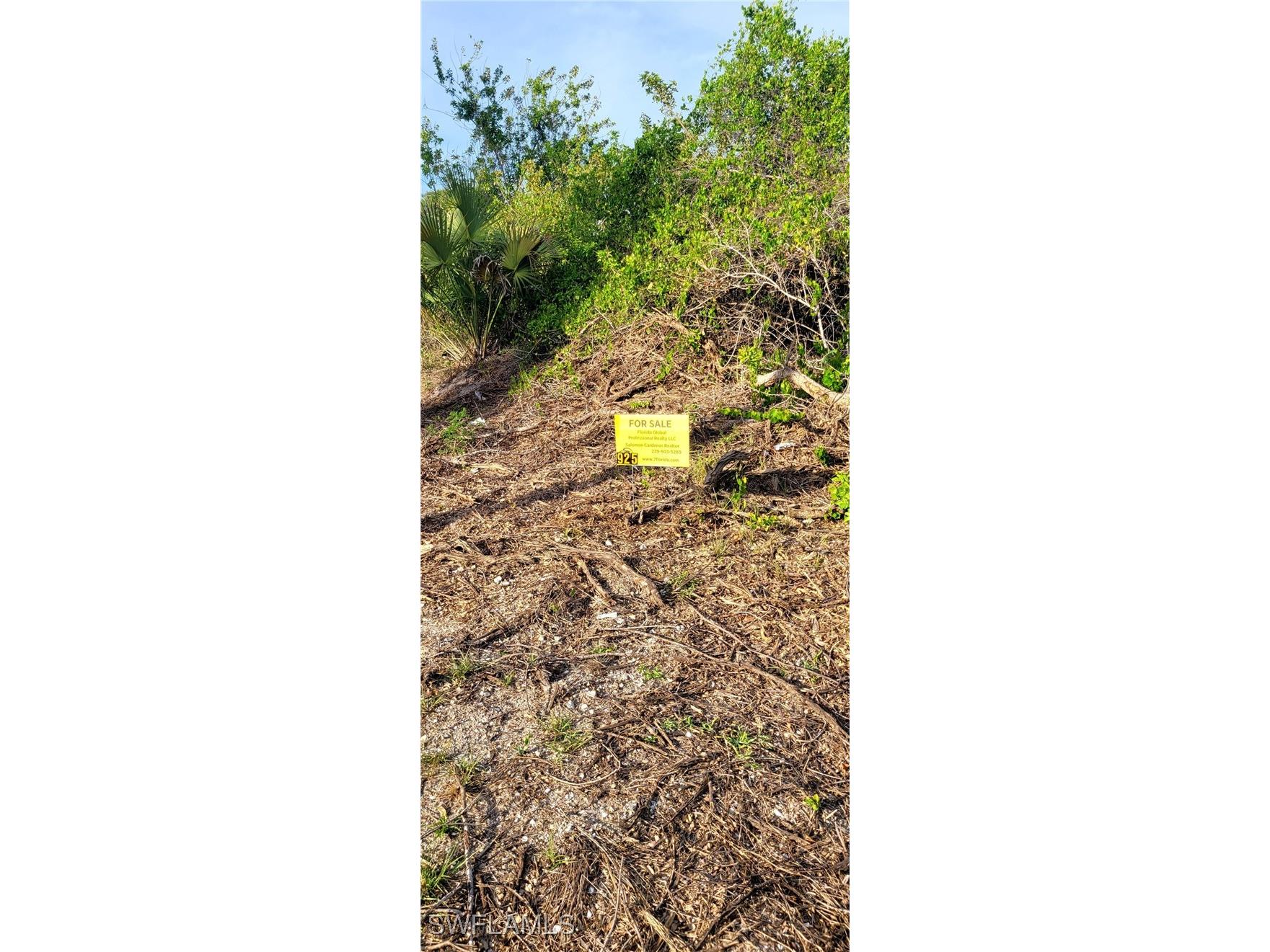 925 Macy Street E Lehigh Acres FL 33974 225031019 image2