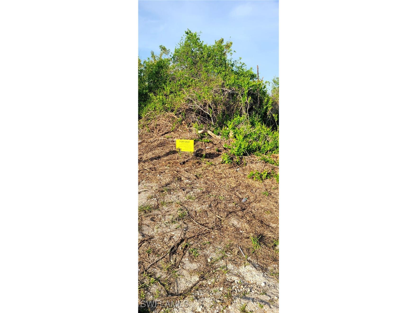 925 Macy Street E Lehigh Acres FL 33974 225031019 image3