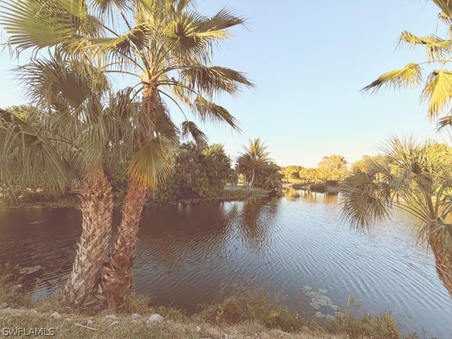 925 Palm View Drive #121 Naples FL 34110 226007146 image13