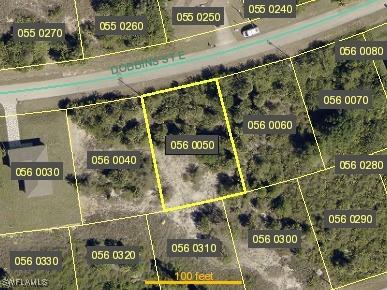 926 Dobbins Street E Lehigh Acres FL 33974 225079304 image1