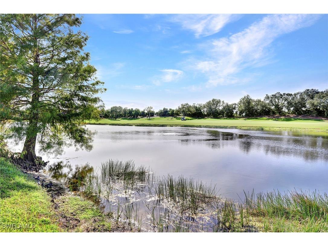 9261 Triana Terrace #133 Fort Myers FL 33912 225074270 image37