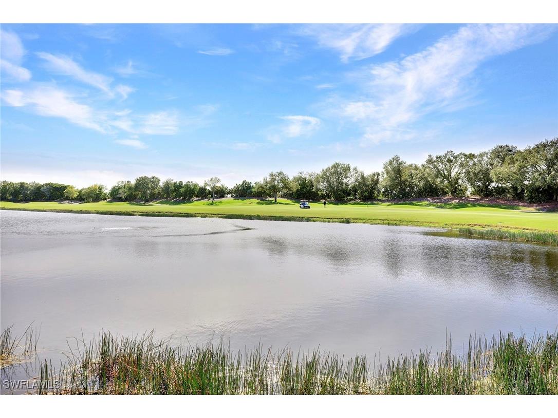 9261 Triana Terrace #133 Fort Myers FL 33912 225074270 image39