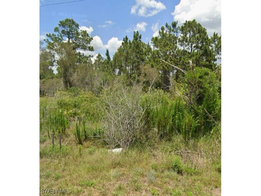 927 Grafton Street Lehigh Acres FL 33974 224092149 image1
