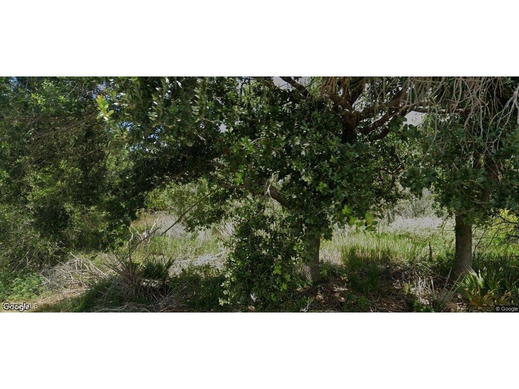 927 Grafton Street Lehigh Acres FL 33974 225070064 image1