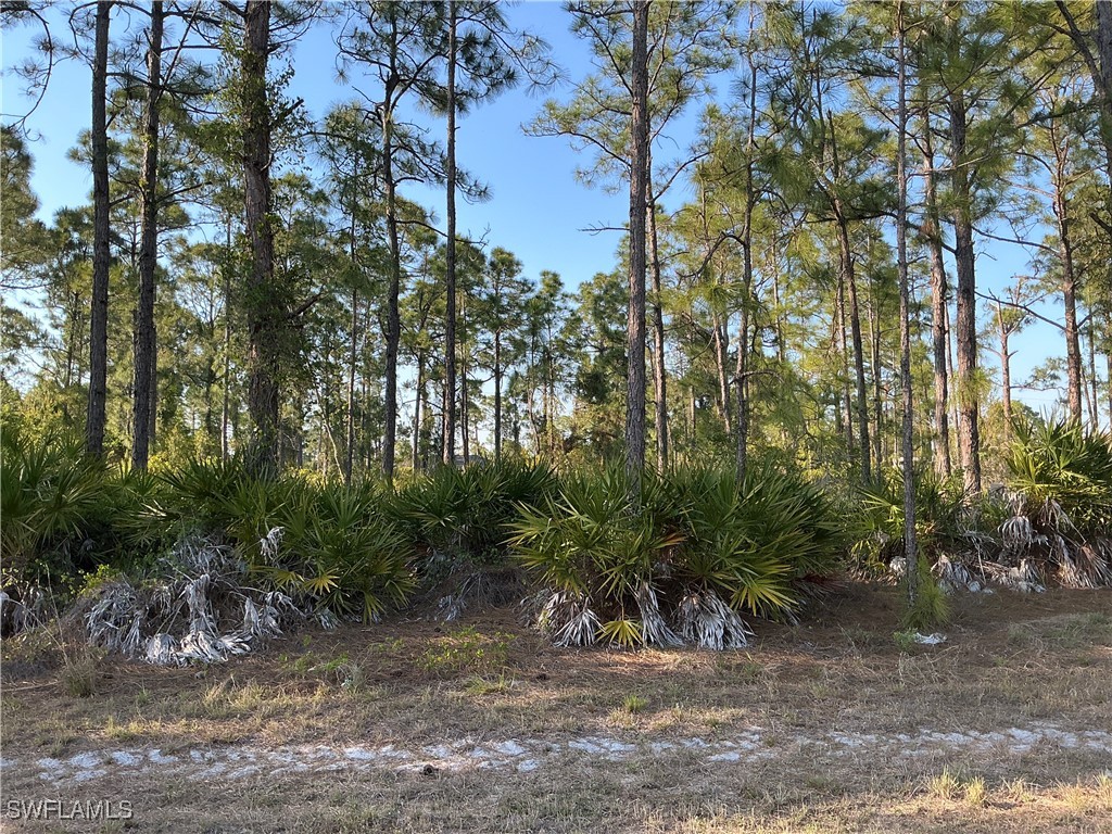 927 Kanuga Street E Lehigh Acres FL 33974 225027138 image1