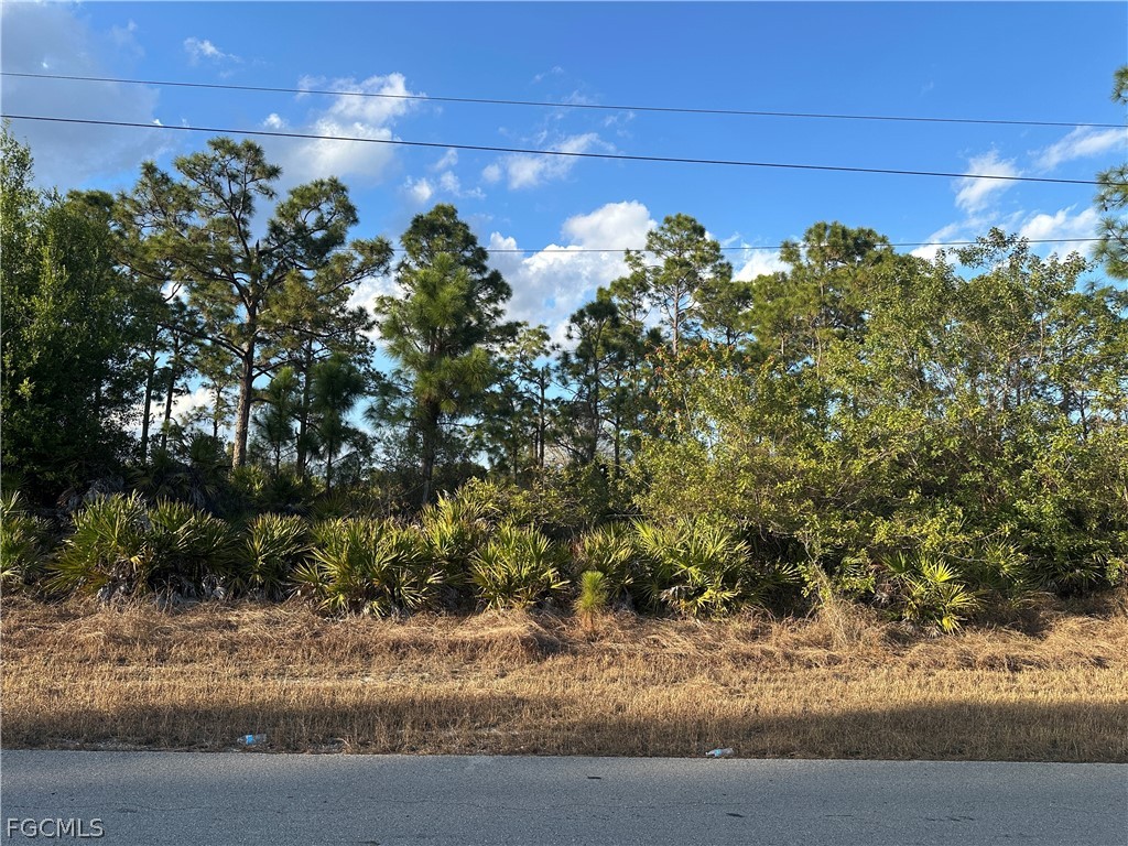 927 Sterling Street E Lehigh Acres FL 33974 2026010710 image1