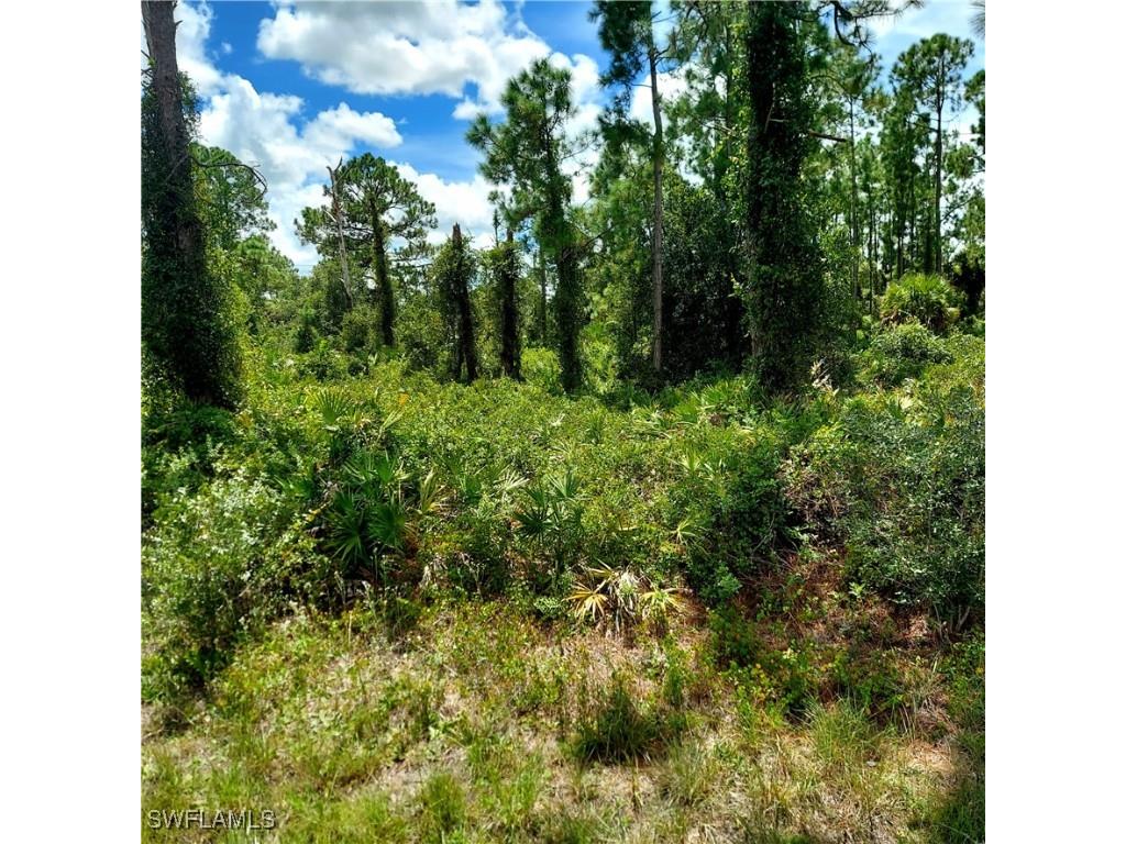 928 Binkley Street E Lehigh Acres FL 33974 225073922 image1