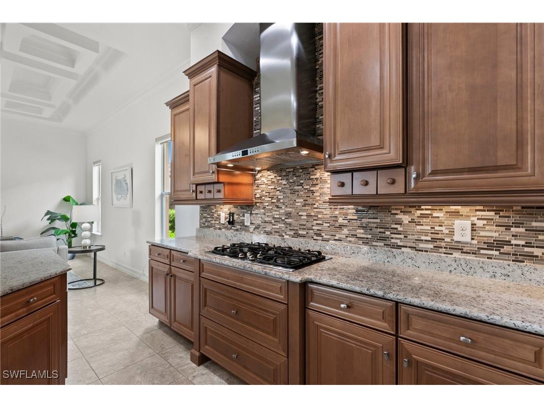 9307 Chiasso Cove Court Naples FL 34114 225060799 image14